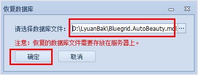 自動恢復數據，汽車美容連鎖管理系統